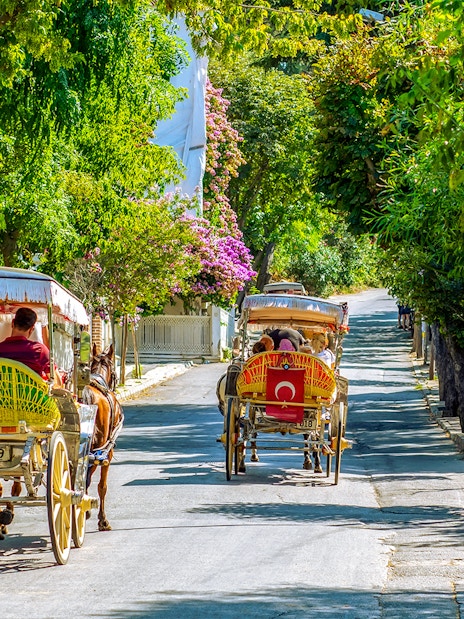 Horse-drawn carriages on a tree-lined street in Buyukada Island, Istanbul.