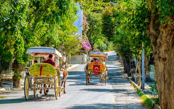 Horse-drawn carriages on a tree-lined street in Buyukada Island, Istanbul.