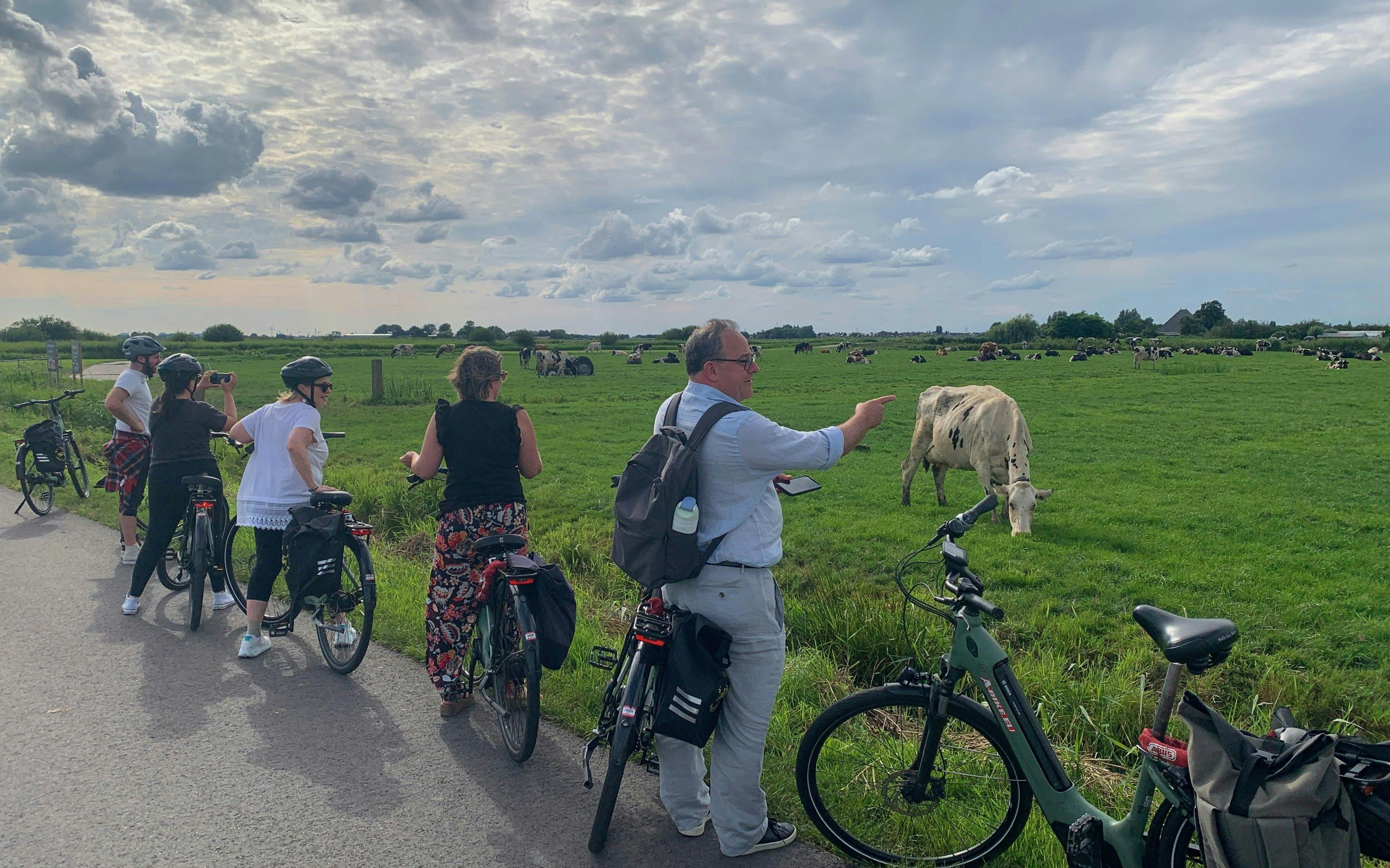 Group on e-bike tour observing cows in a Dutch countryside field.