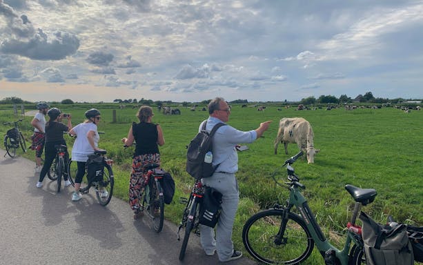 Group on e-bike tour observing cows in a Dutch countryside field.