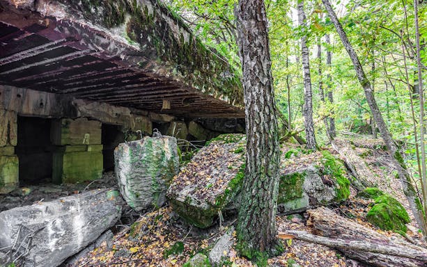 Wolf's Lair ruins surrounded by forest, part of Warsaw small-group tour with lunch.