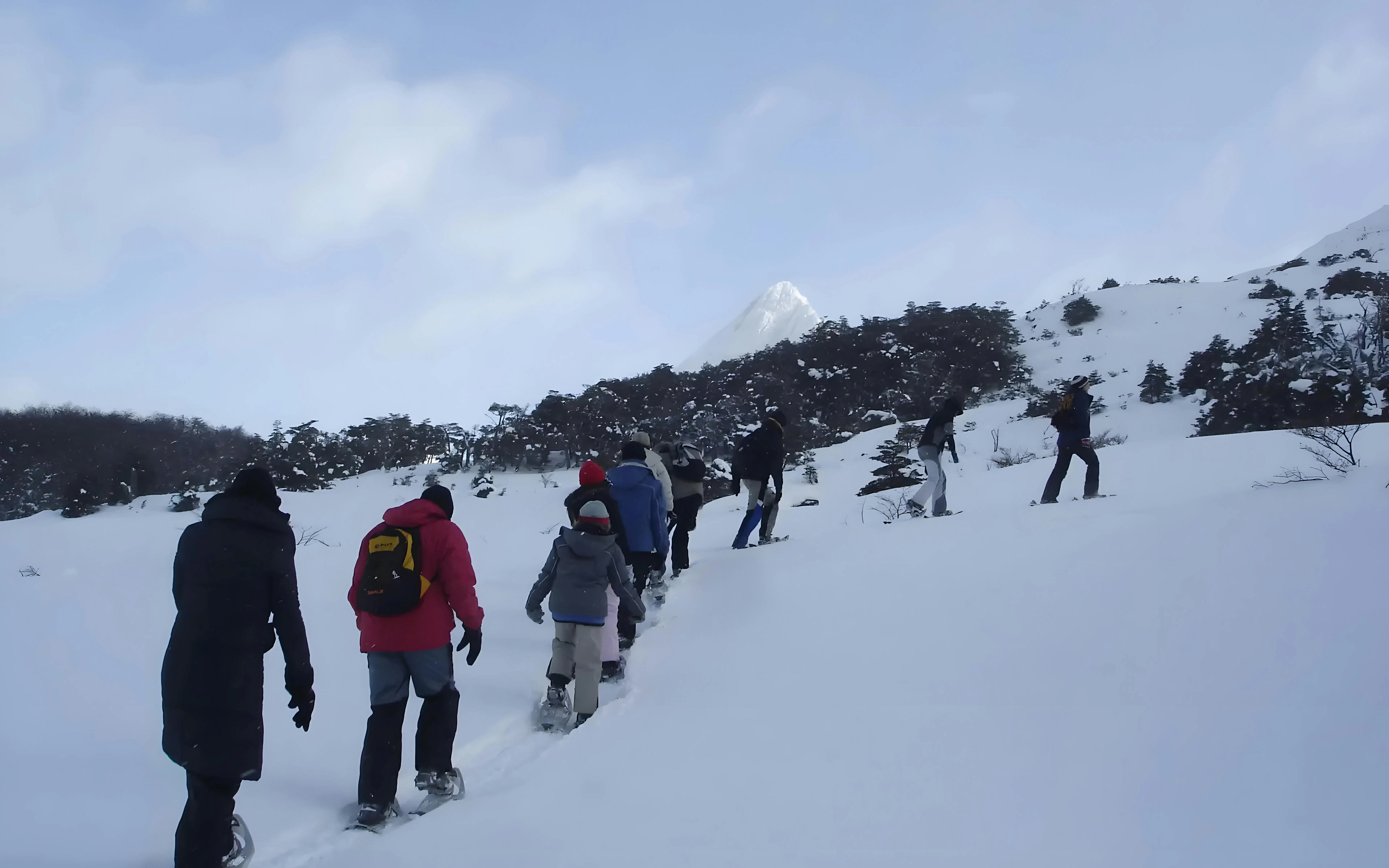 Group snowshoeing in Ushuaia with snowy mountains in the background.
