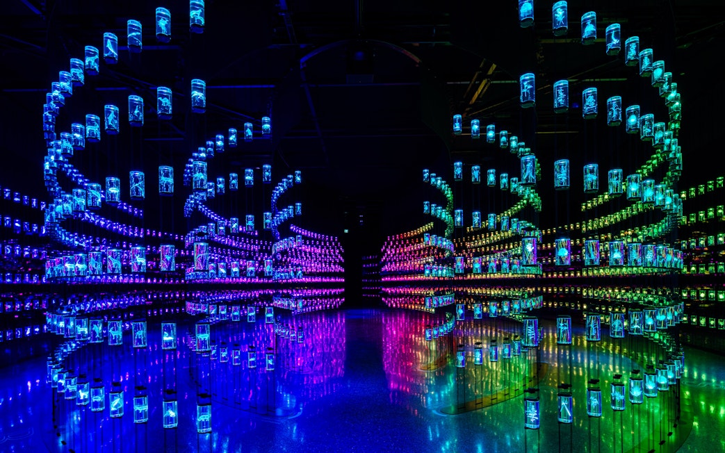 Futuristic light installation at Museum of the Future, Dubai.