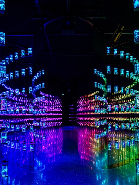 Futuristic light installation at Museum of the Future, Dubai.