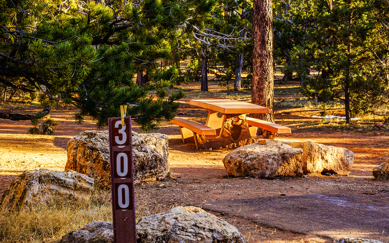 Mather Campground tents under pine trees in Grand Canyon National Park, Arizona.