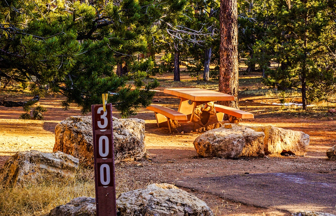 Mather Campground tents under pine trees in Grand Canyon National Park, Arizona.