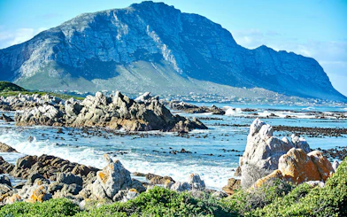 Rocky coastline at Stony Point Nature Reserve, Betty's Bay, with Boland Mountain Complex in the background.