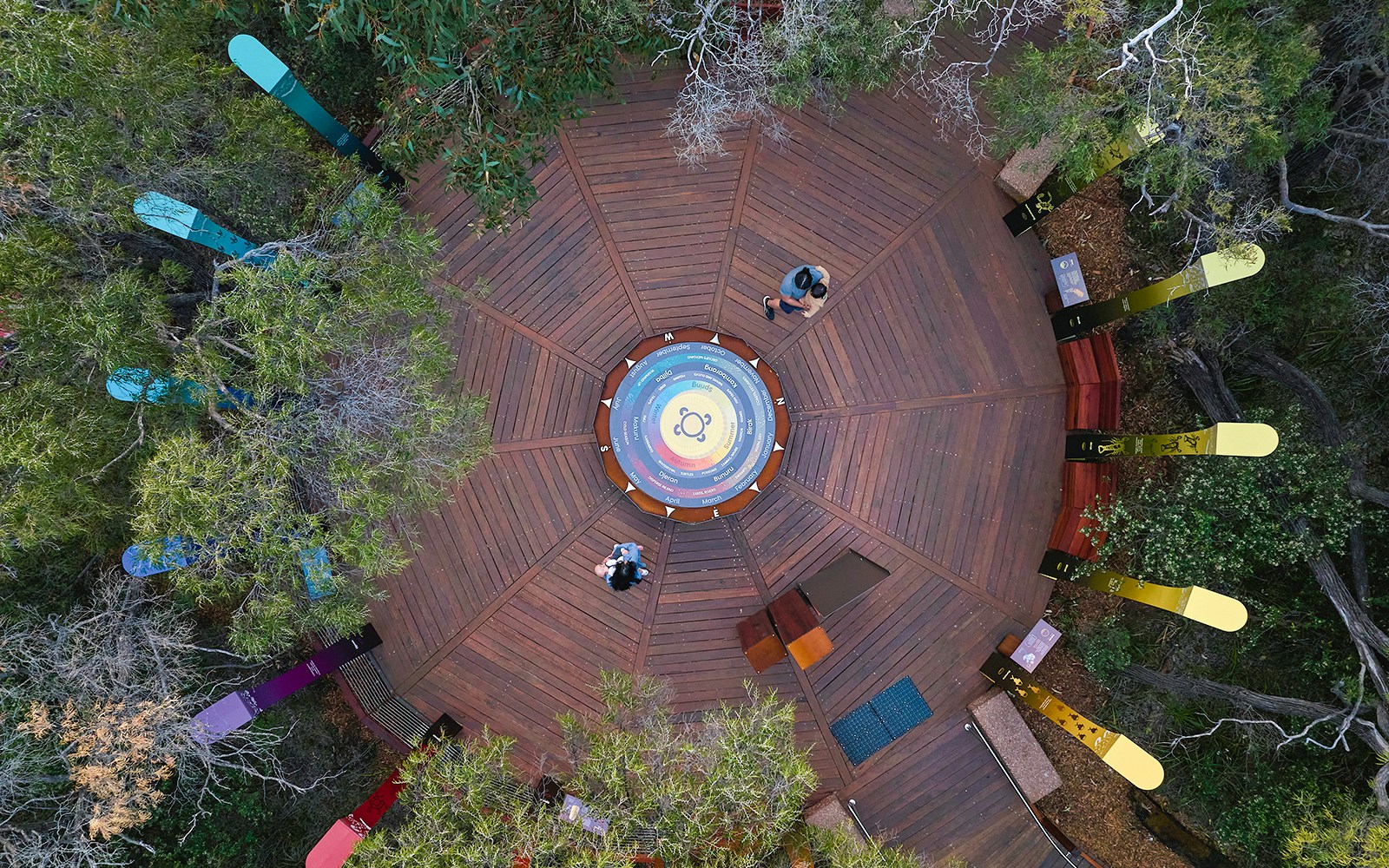 Above-ground forest walk