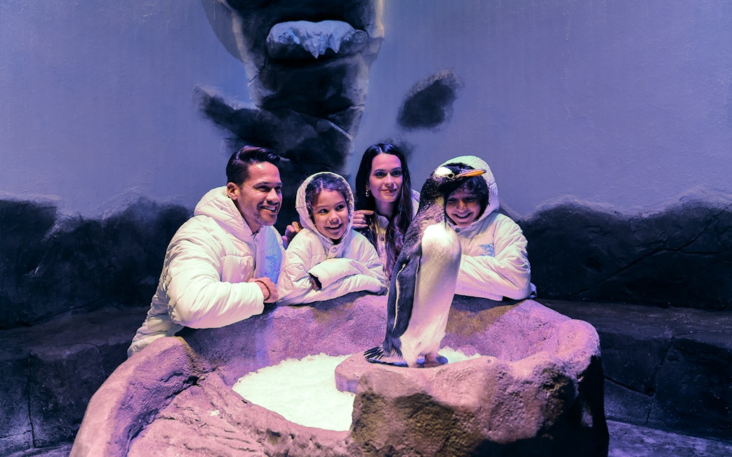 Family observing a penguin at Dubai Aquarium exhibit.