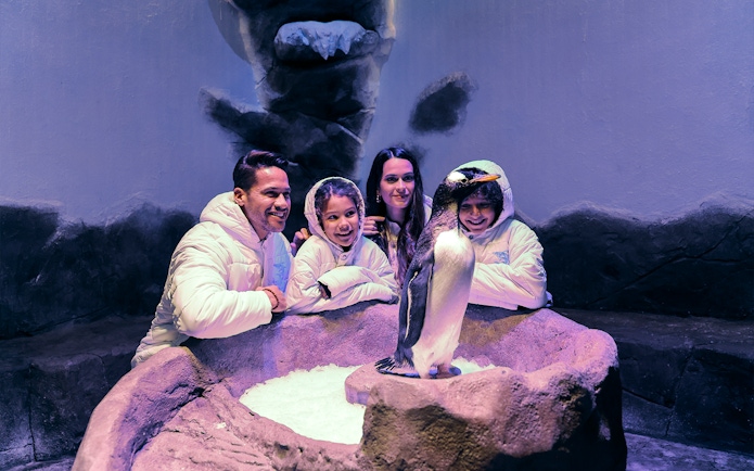 Family observing a penguin at Dubai Aquarium exhibit.
