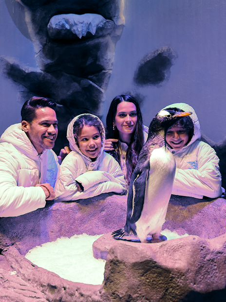 Family observing a penguin at Dubai Aquarium exhibit.