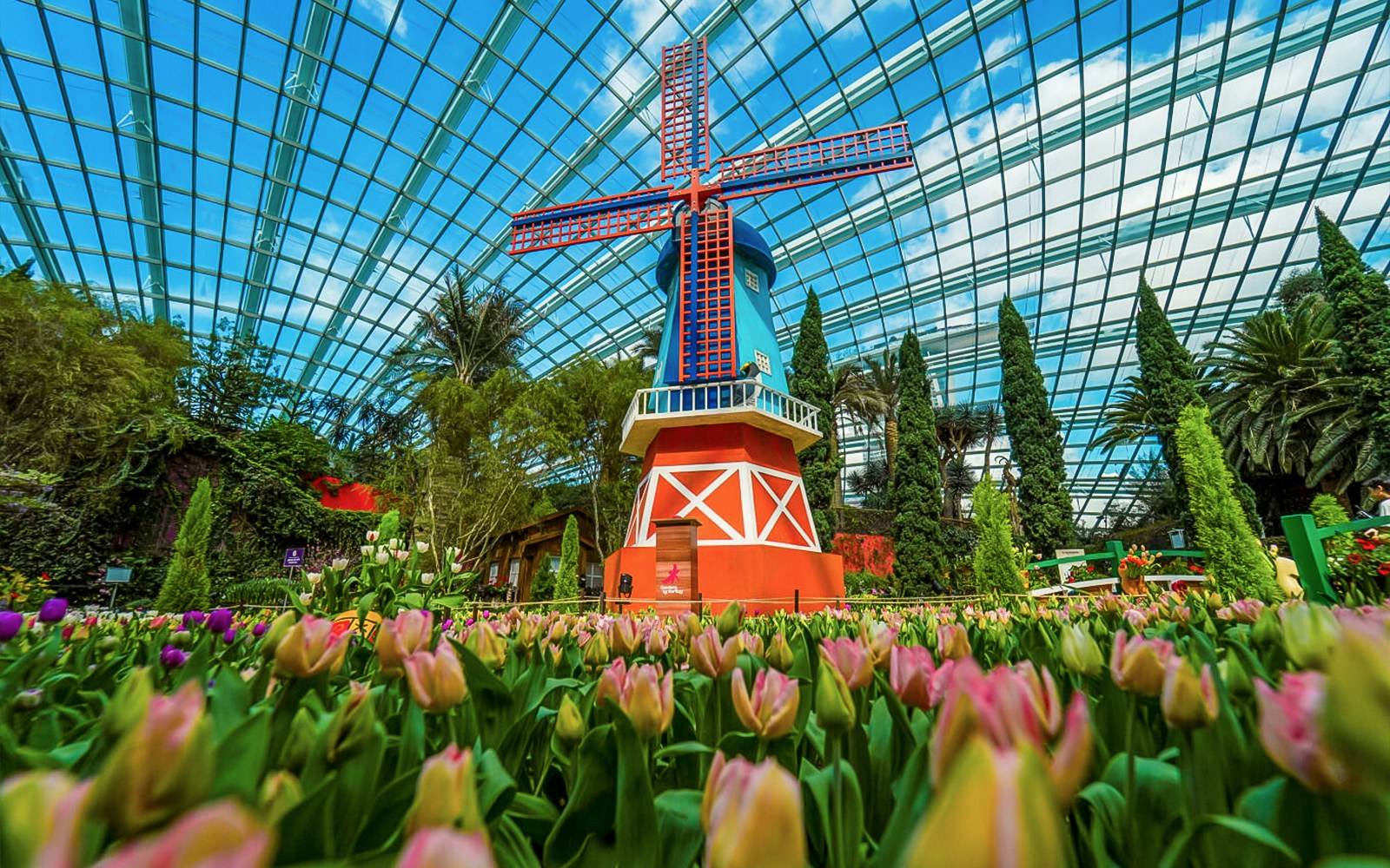 Windmill surrounded by tulips inside Gardens by the Bay, Singapore.