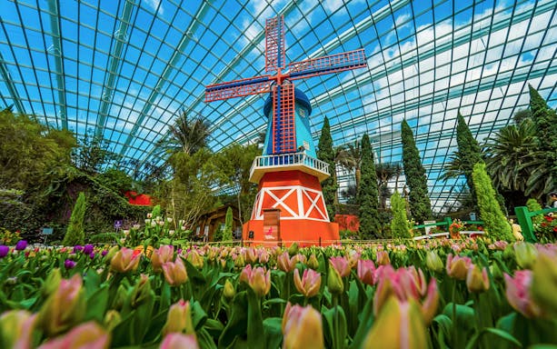 Windmill surrounded by tulips inside Gardens by the Bay, Singapore.