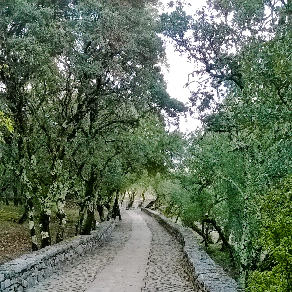 fátima e-bike guided tour: sanctuary & shepherds' houses-1
