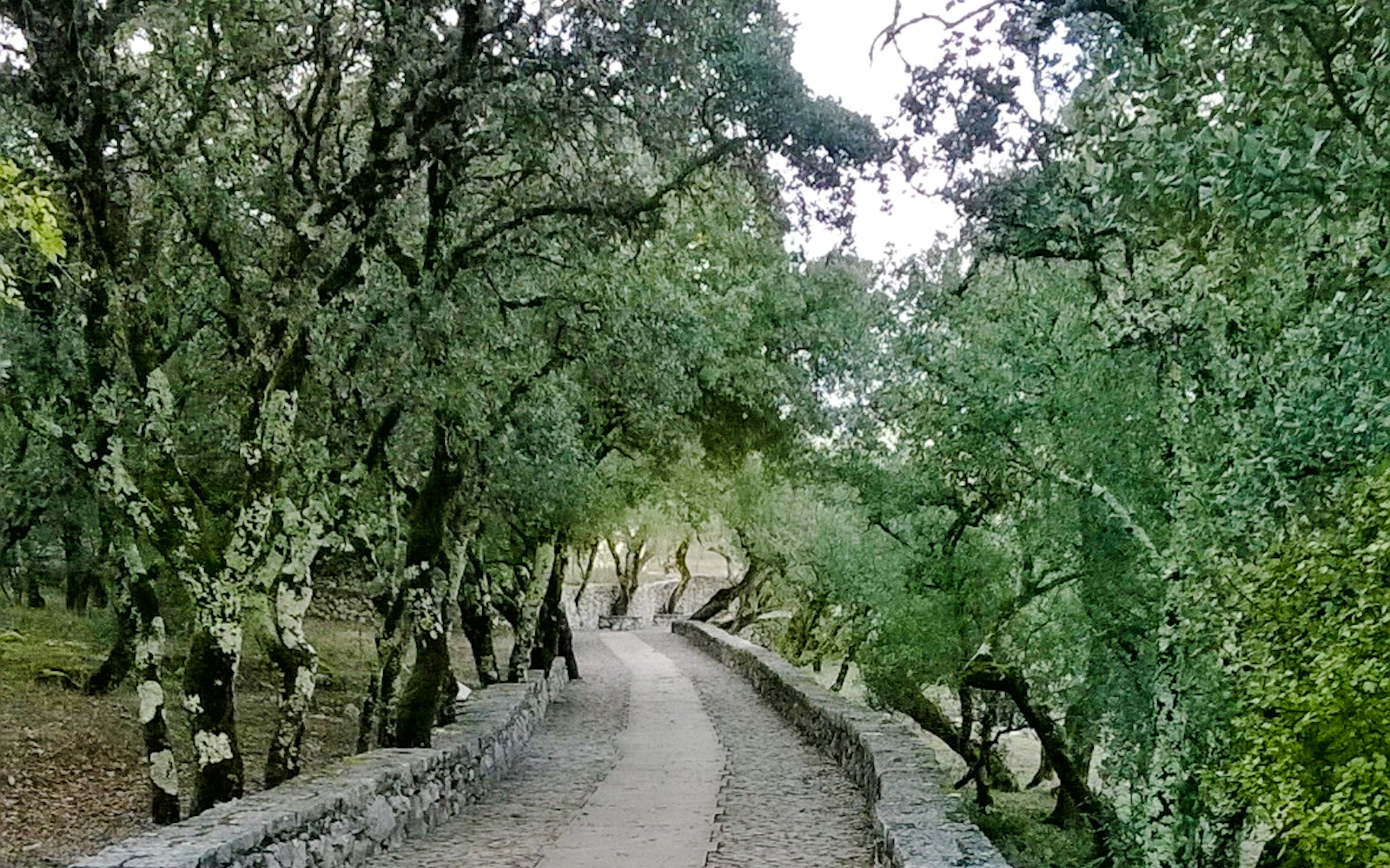 Fátima E-Bike Guided Tour: Sanctuary & Shepherds' Houses