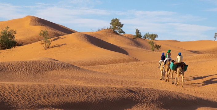 Excursions dans le désert de Merzouga