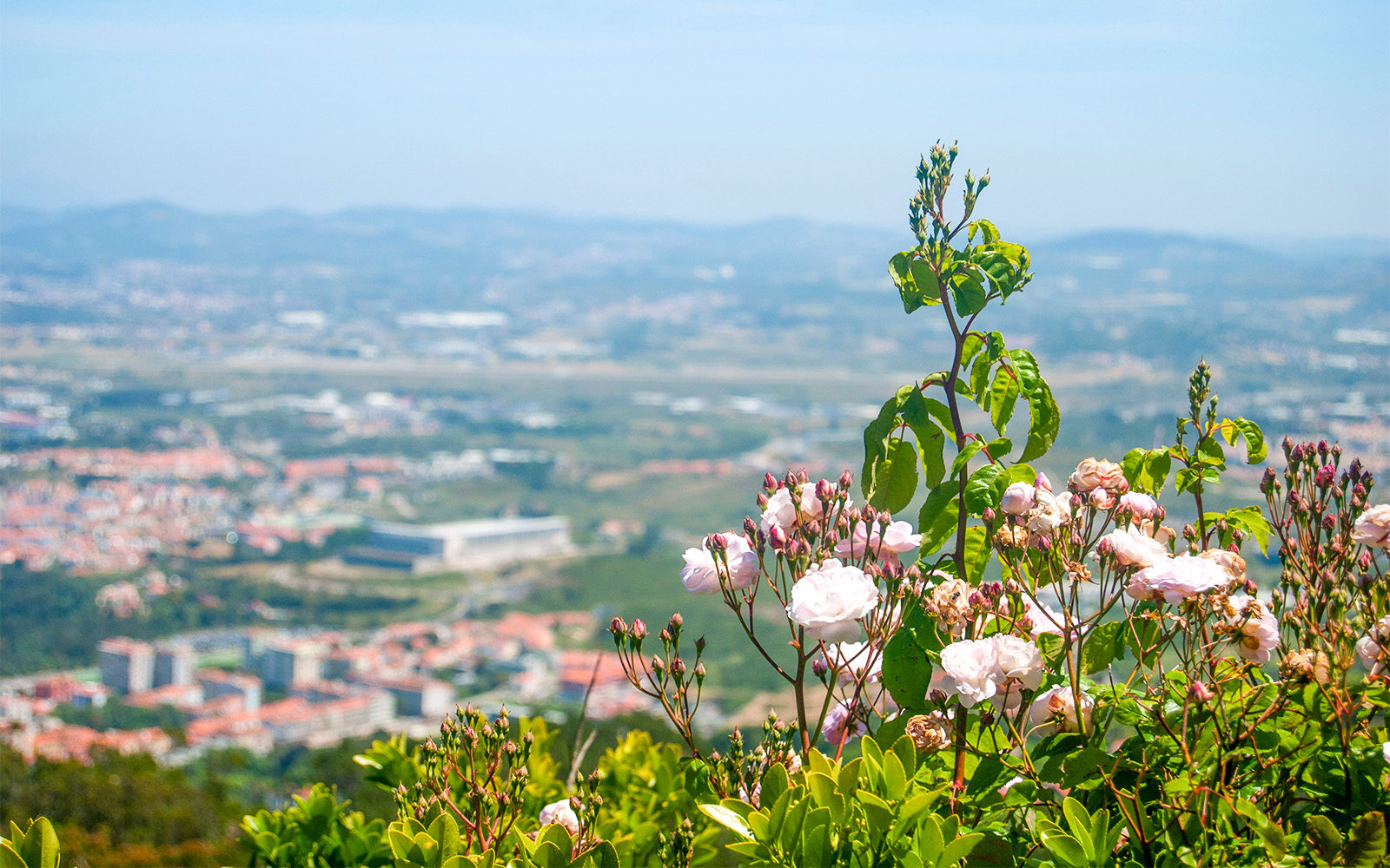 Pena Palace Architecture