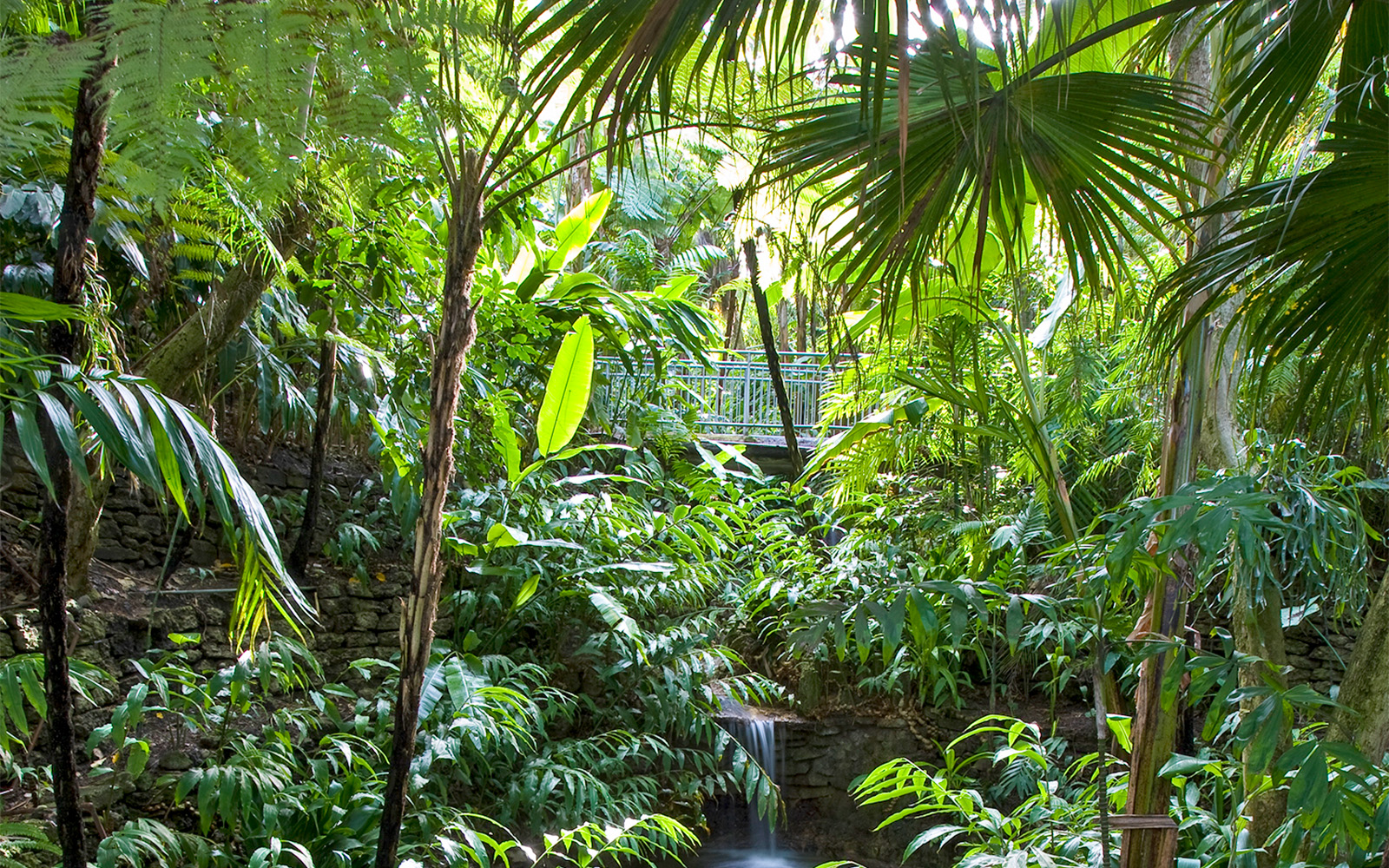 San Diego Zoo Safari Park