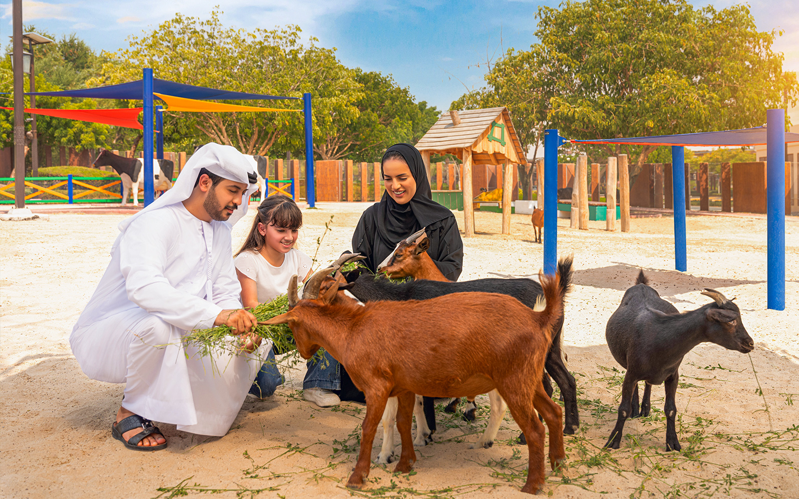 Family feeding goats at Dubai Safari Park.