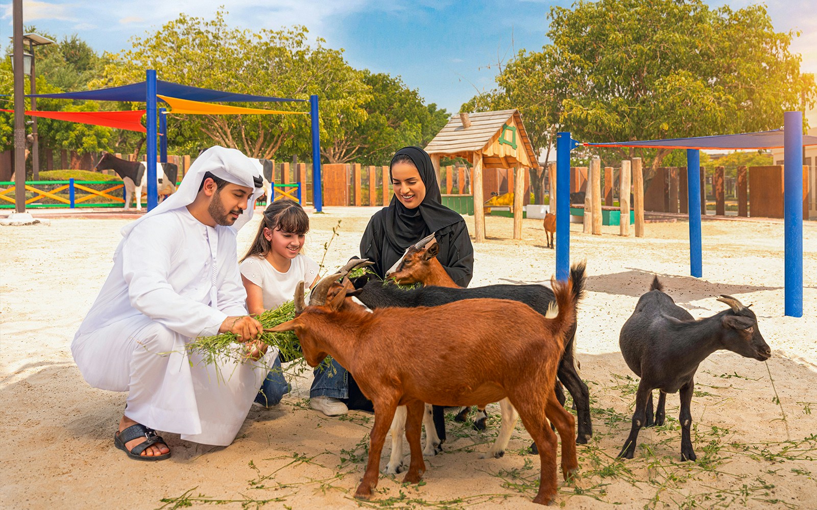 Family feeding goats at Dubai Safari Park.