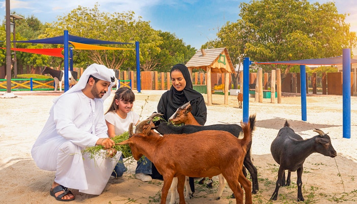 Dubai Safari Park Tickets