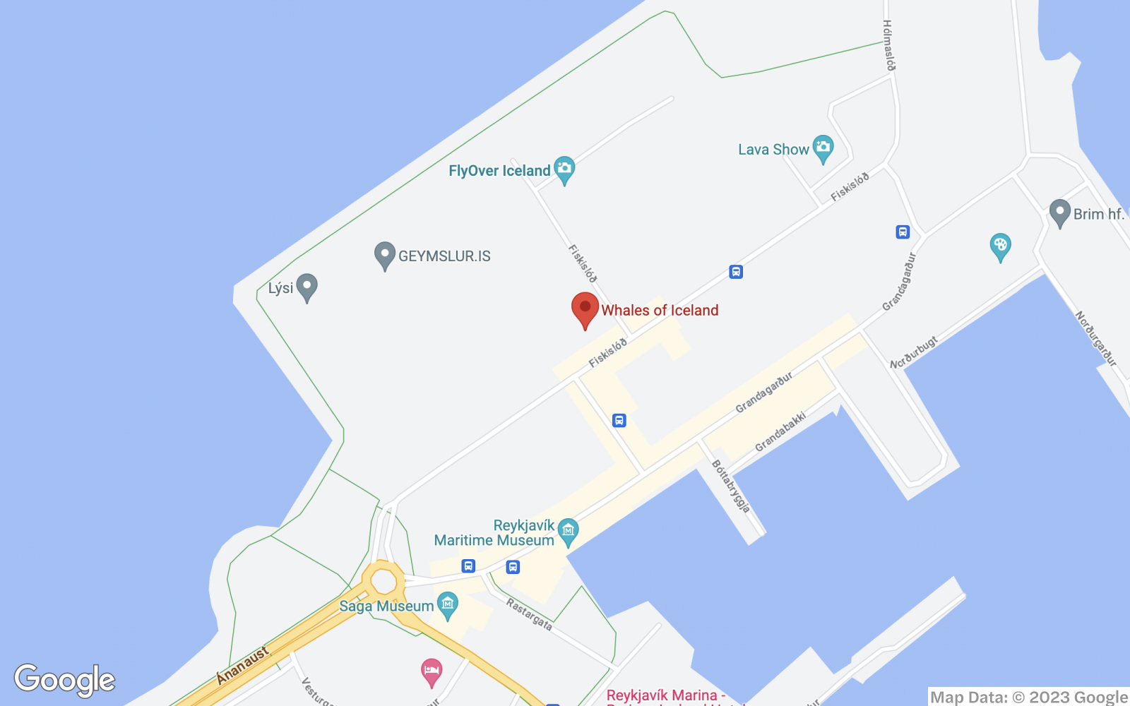 Map of Whales Museum in Iceland