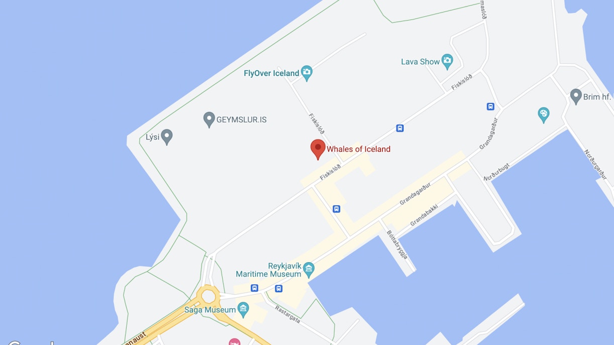 Map of Whales Museum in Iceland