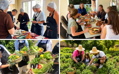Participants in Tangier Moroccan cooking class harvesting vegetables and preparing traditional dishes on an organic farm.