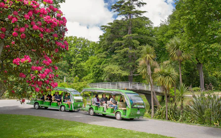 Christchurch: Botanic Gardens Guided Shuttle Tour