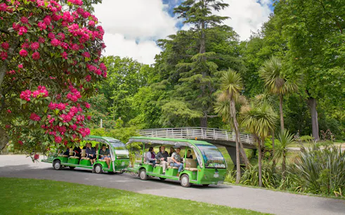 Tour tram passing through lush Botanic Gardens in Christchurch with vibrant flowers and trees.