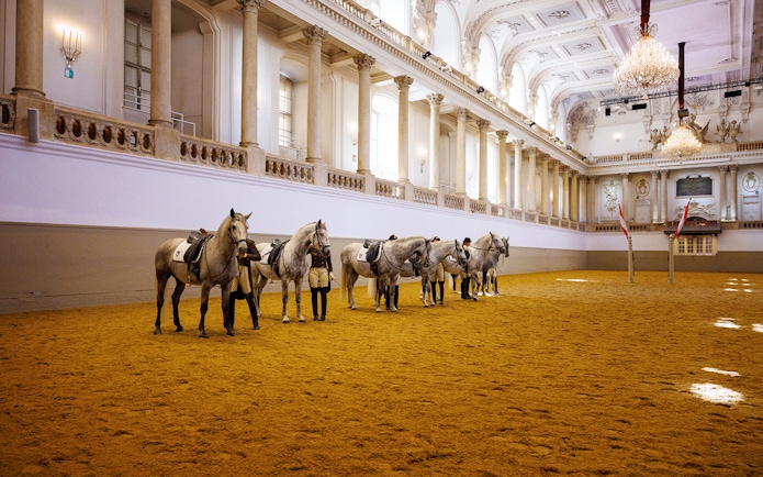 Spanish Riding School horses and riders in training arena, Vienna.