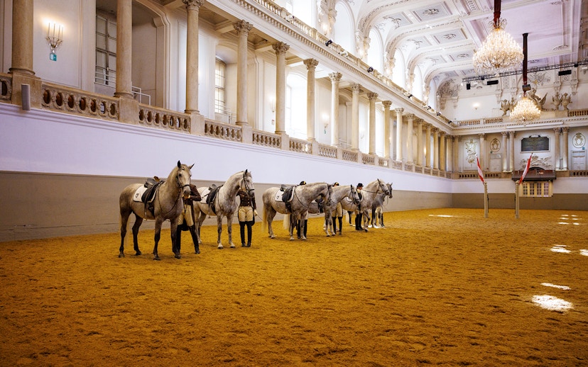 Spanish Riding School horses and riders in training arena, Vienna.