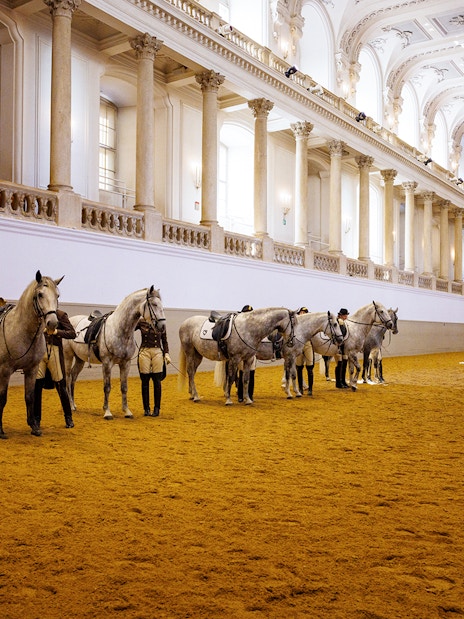 Spanish Riding School horses and riders in training arena, Vienna.