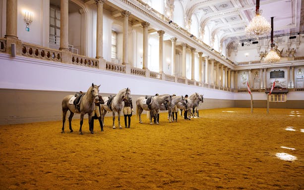 Spanish Riding School horses and riders in training arena, Vienna.
