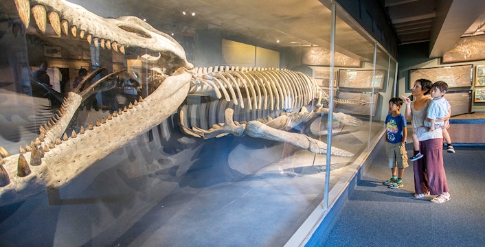 City Cards in Boston