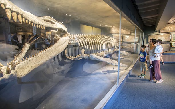 Family viewing dinosaur skeleton exhibit at Boston museum, part of Boston CityPASS® tour.