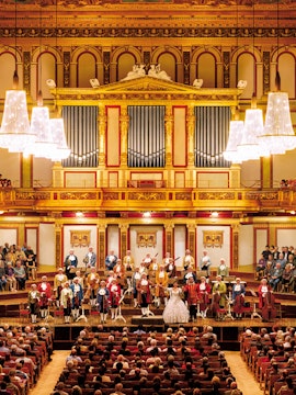 Orchestra performing at Vienna Music Association concert hall.