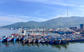 from hoi an or da nang: cham island snorkeling or scuba diving tour-8