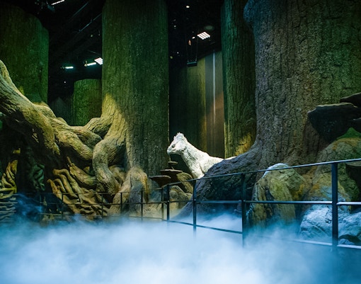 Forbidden forest scene on Harry Potter London tour with towering trees and mystical atmosphere.