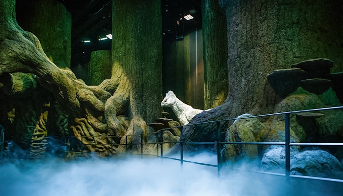Forbidden forest scene on Harry Potter London tour with towering trees and mystical atmosphere.
