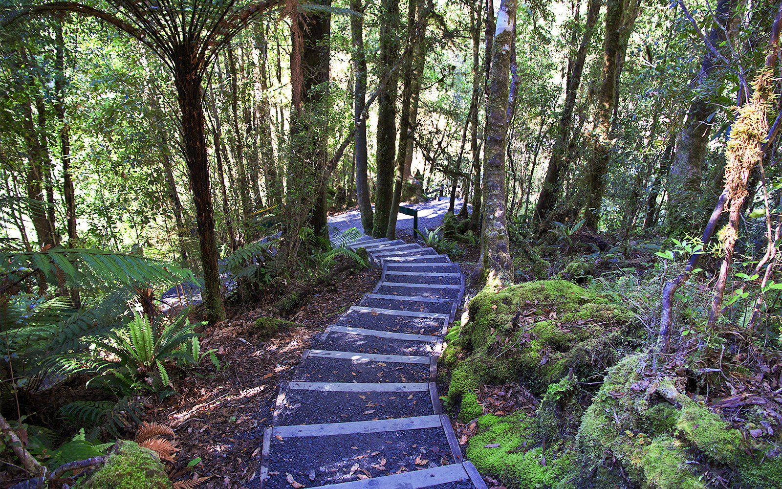 Te Ara A Waiau Walkway/Cycleway
