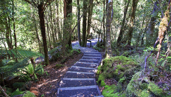 Te Ara A Waiau Walkway/Cycleway