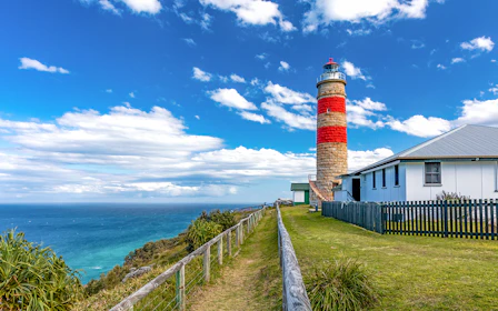 Moreton Island: Tangalooma Wrecks & Lighthouse Sightseeing Tour with Lunch