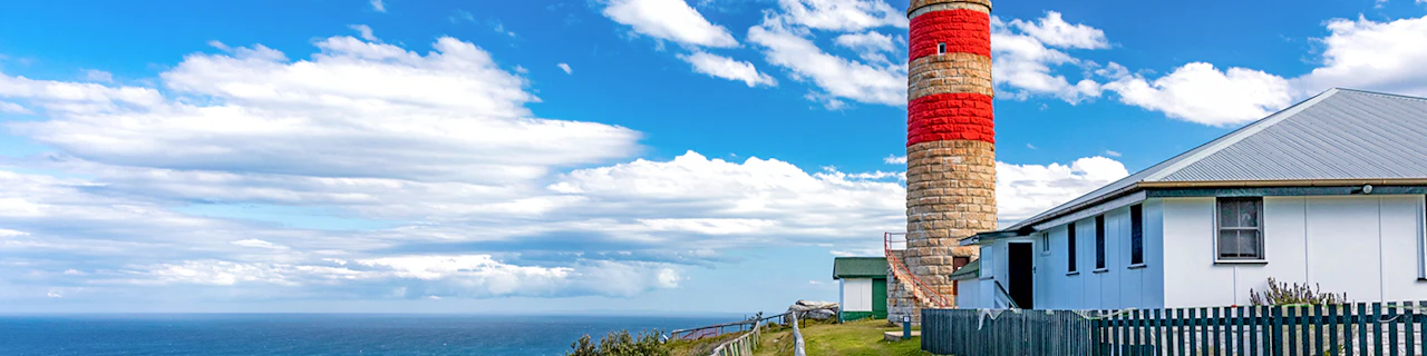 Isola di Moreton: Tour panoramico dei relitti e del faro di Tangalooma con pranzo