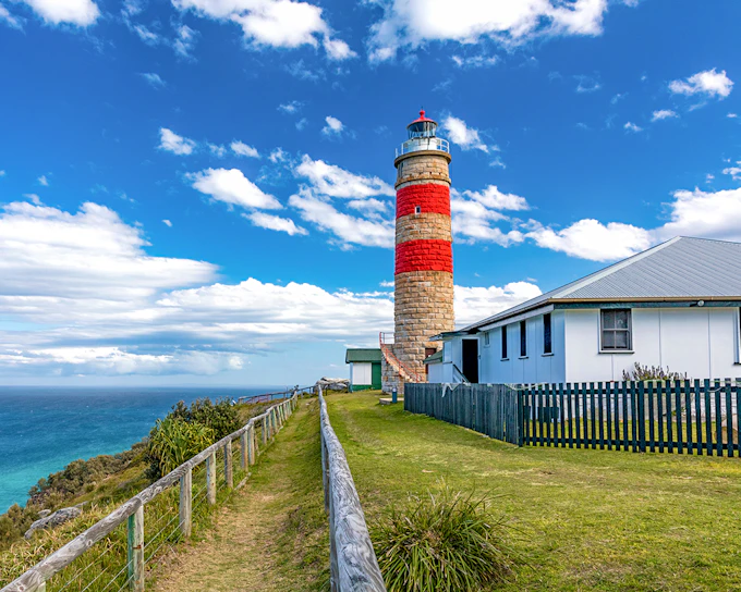 Moreton Island: Tangalooma Wrecks & Lighthouse Sightseeing Tour with Lunch