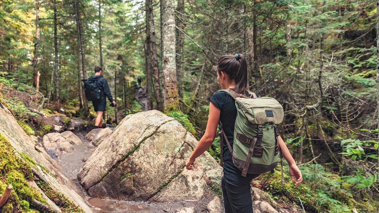 Couple hiking through forest trail