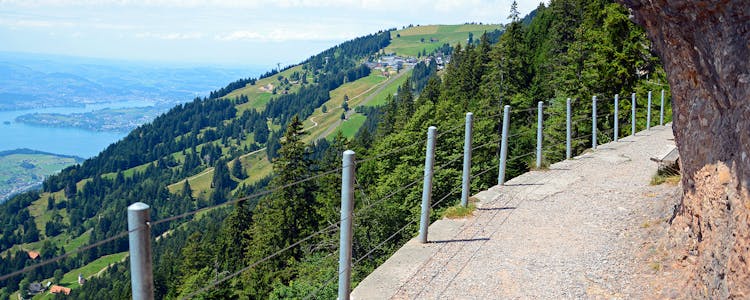 Rigi Wölfertschen First Suspension Bridge