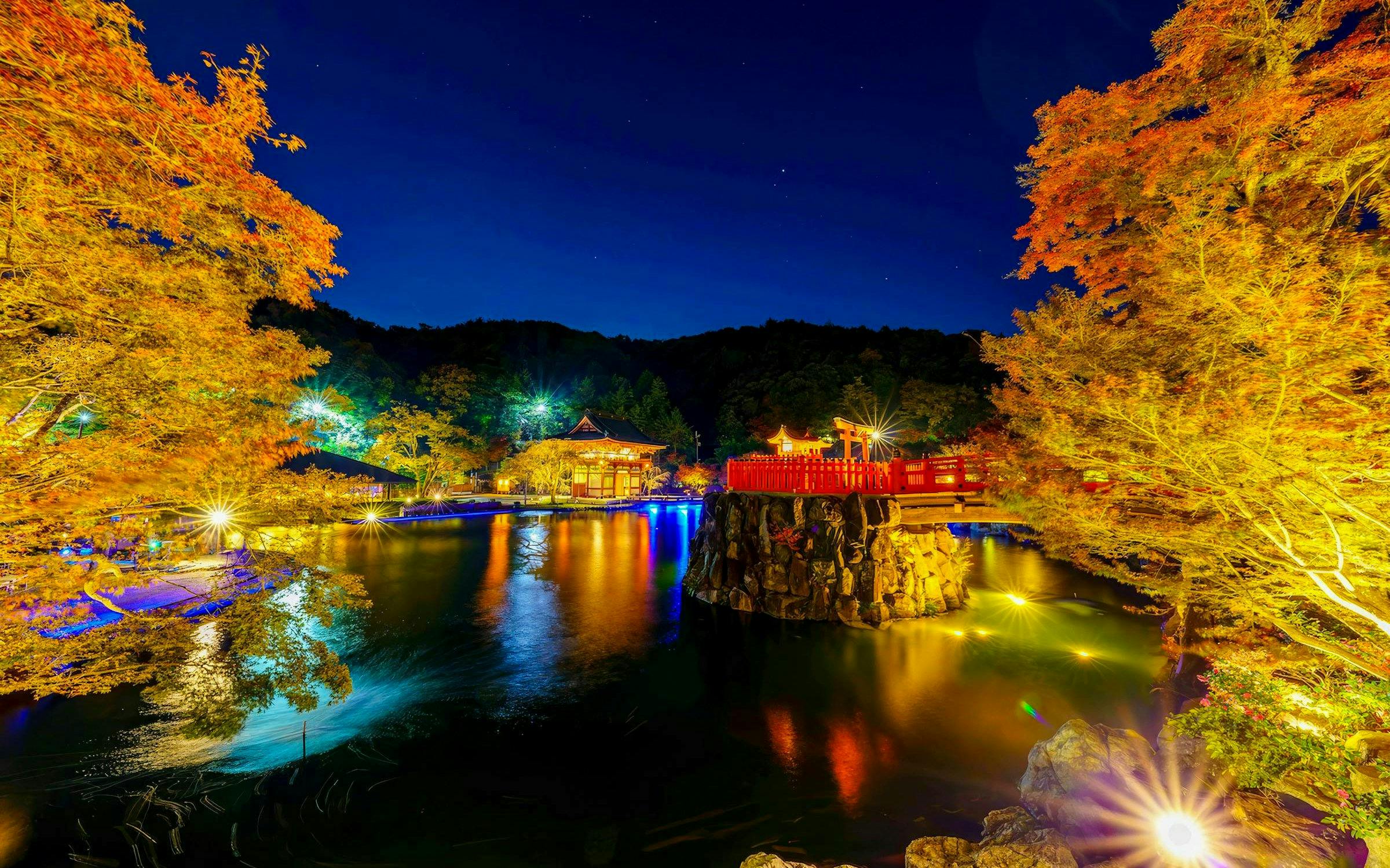 Night view of Osaka Katsuo-ji Temple with illuminated trees and reflection on water.
