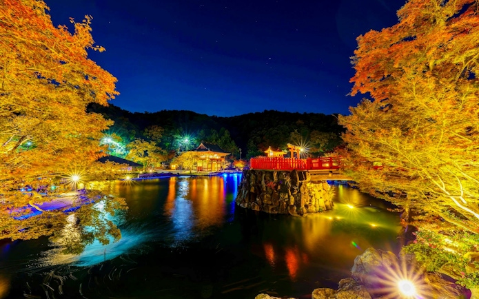 Night view of Osaka Katsuo-ji Temple with illuminated trees and reflection on water.