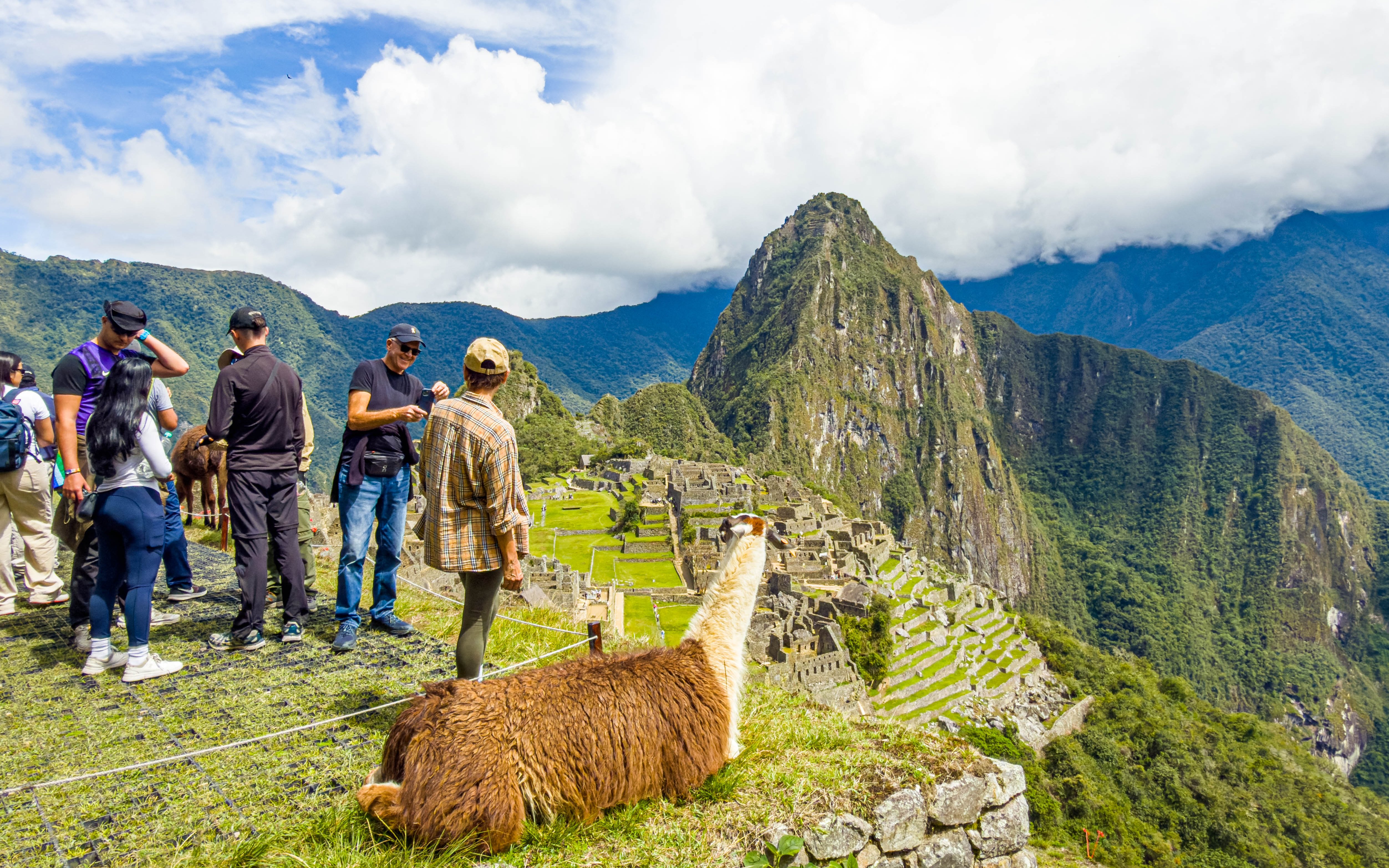 Tourists exploring Machu Picchu with a llama in the foreground, Peru.